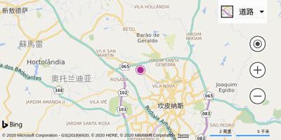 坎皮纳斯机场