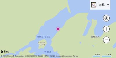 奇格尼克机场