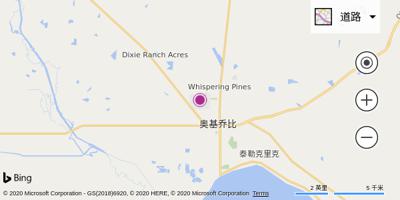奥基乔比机场