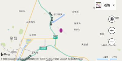金川机场